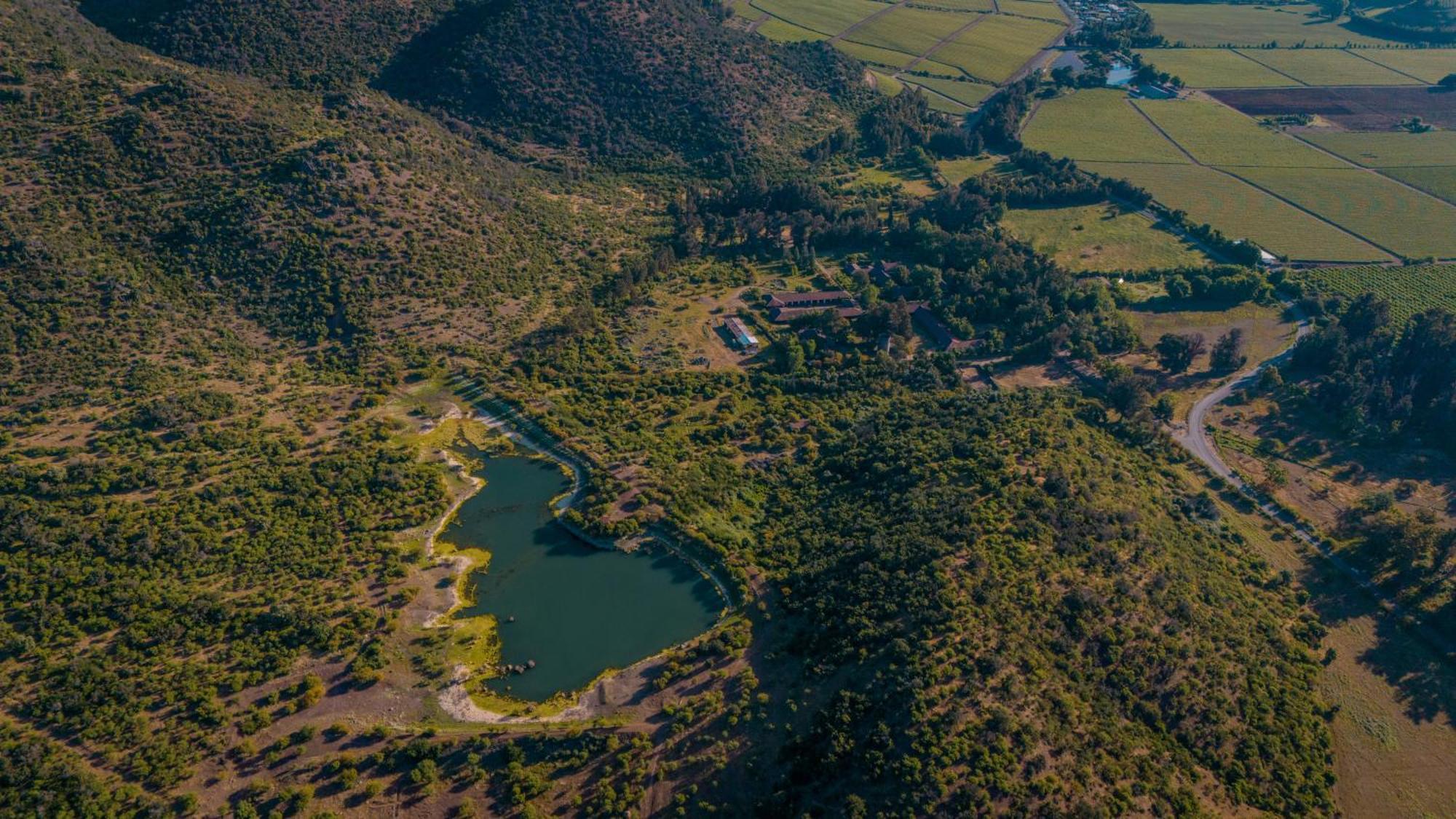 Hacienda Los Lingues Chile Valle De Colchagua Eksteriør billede