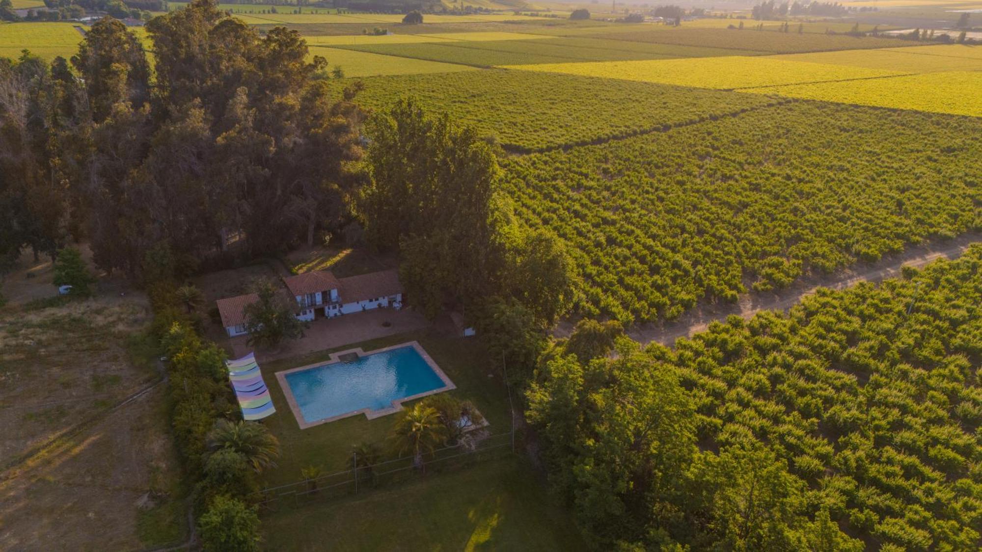 Hacienda Los Lingues Chile Valle De Colchagua Eksteriør billede
