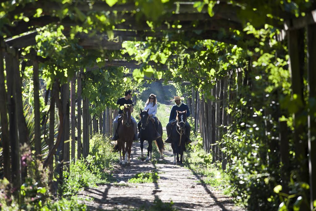 Hacienda Los Lingues Chile Valle De Colchagua Eksteriør billede