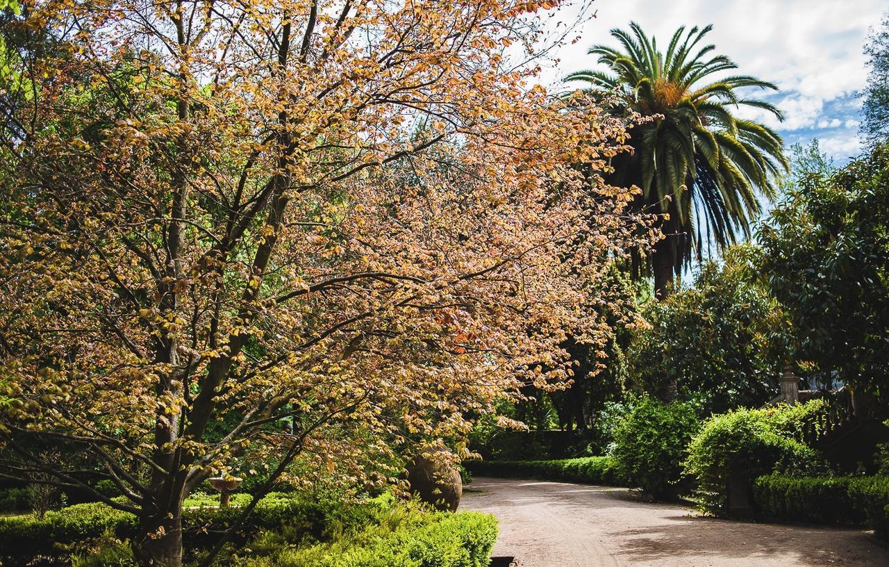 Hacienda Los Lingues Chile Valle De Colchagua Eksteriør billede