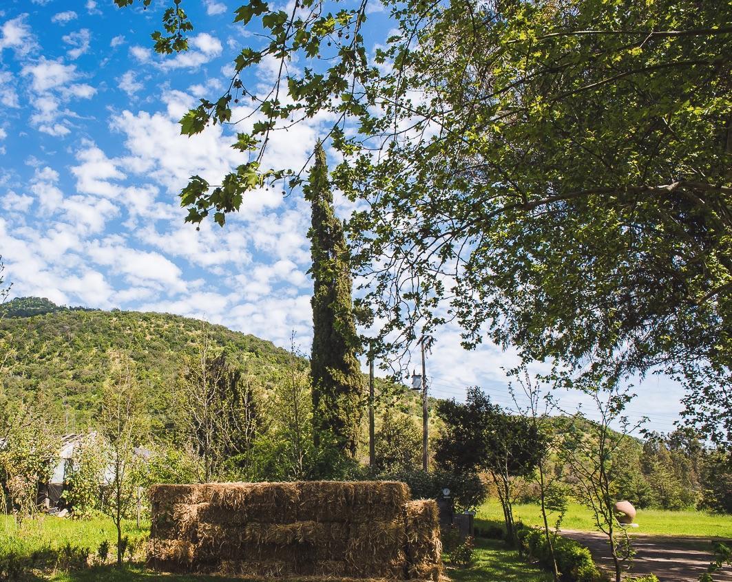 Hacienda Los Lingues Chile Valle De Colchagua Eksteriør billede